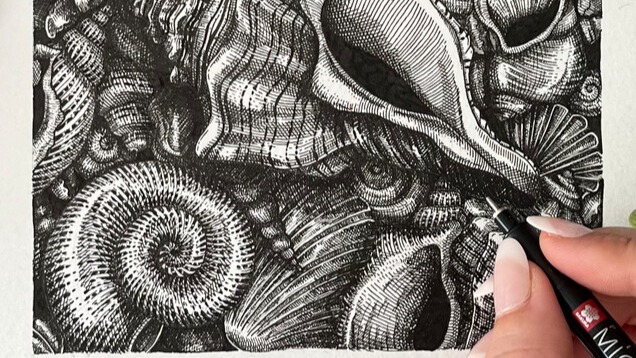 Sets Sakura Pigma Micron Black Edition + étui offert