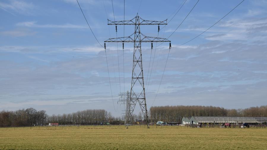 Flexibiliteit loont voor het net en de portemonnee